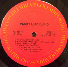 Load image into Gallery viewer, Pamela Polland : Pamela Polland (LP, Album)