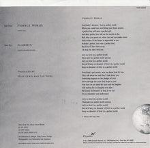 Load image into Gallery viewer, Huey Lewis &amp; The News : Perfect World (7", Single, Styrene, Car)
