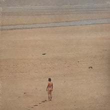 Load image into Gallery viewer, Jean-Claude Vannier : L'enfant Assassin Des Mouches (LP, Album, RE, RP)