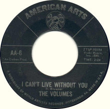 Load image into Gallery viewer, The Volumes : Gotta Give Her Love (7&quot;)