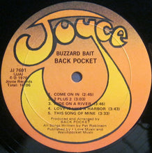 Load image into Gallery viewer, Back Pocket : Buzzard Bait (LP, Album)