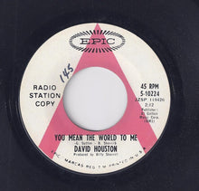 Load image into Gallery viewer, David Houston : You Mean The World To Me (7", Single, Promo)