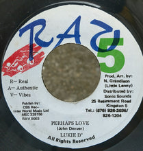 Load image into Gallery viewer, Lukie D : Perhaps Love (7")