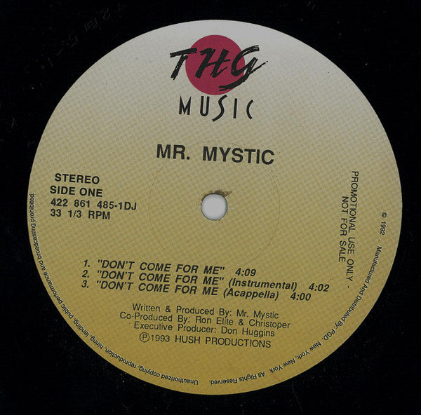 Mr. Mystic : Don't Come For Me (12