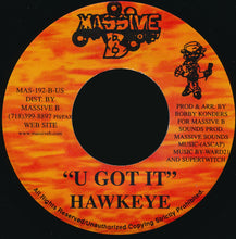 Load image into Gallery viewer, Frisco Kid / Hawkeye (4) : Log On / U Got It (7")