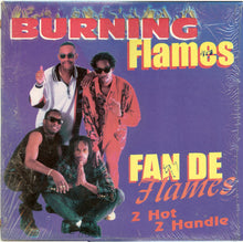 Load image into Gallery viewer, Burning Flames : Fan De Flames: 2 Hot 2 Handle (LP, Album)