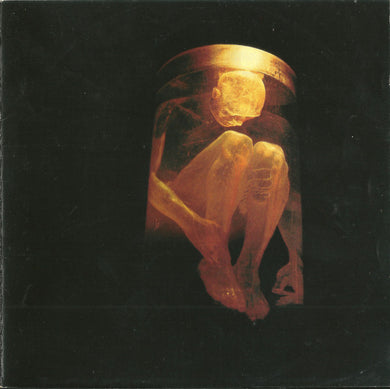 Alice In Chains : Nothing Safe: The Best Of The Box (CD, Comp, Enh, RP)