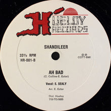 Load image into Gallery viewer, Shandileer : Happy (12&quot;)