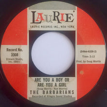 Load image into Gallery viewer, The Barbarians : Are You A Boy Or Are You A Girl (7", Single)