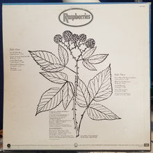 Load image into Gallery viewer, Raspberries : Raspberries (LP, Album)