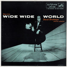 Load image into Gallery viewer, David Broekman And His Orchestra : Music From Wide Wide World (LP)