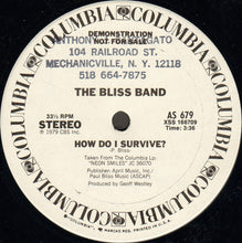 Load image into Gallery viewer, The Bliss Band : Doctor (12&quot;, Promo)