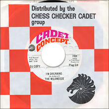 Load image into Gallery viewer, The Wildweeds : I&#39;m Dreaming (7&quot;, Promo)