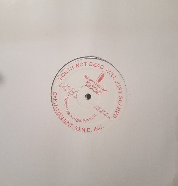 AK The Teflon Don, Candyman, Southeast (3), Tommy Ill, Lady Sue, Sleepyeyez : South Not Dead Ya'll Just Scared (LP, Promo)