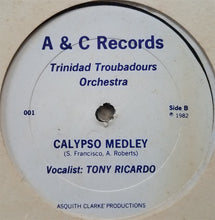 Load image into Gallery viewer, The Trinidad Troubadours Band : Party Swinging (12&quot;)