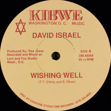 Load image into Gallery viewer, David Israel (4) : Wishing Well (12&quot;)