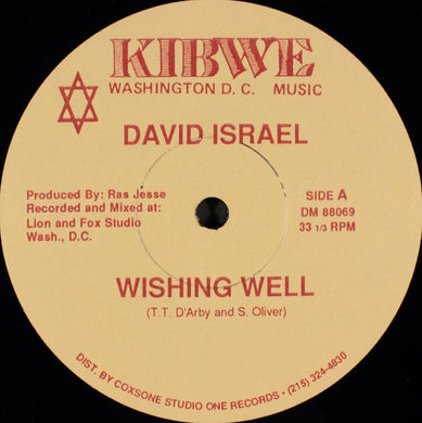 David Israel (4) : Wishing Well (12