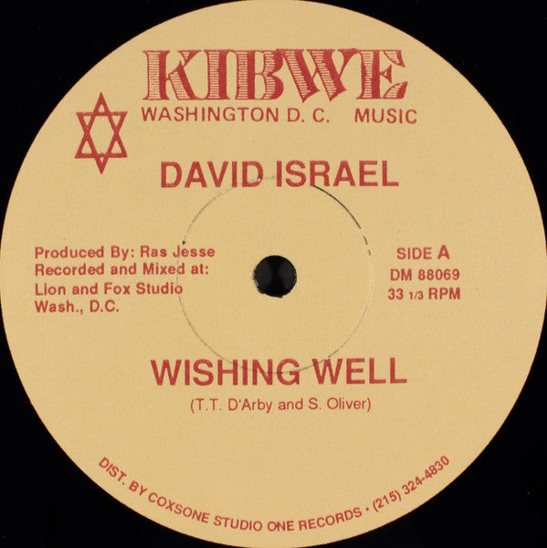 David Israel (4) : Wishing Well (12