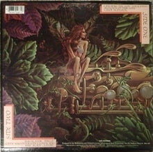 Load image into Gallery viewer, Spyro Gyra : Catching The Sun (LP, Album, RP)