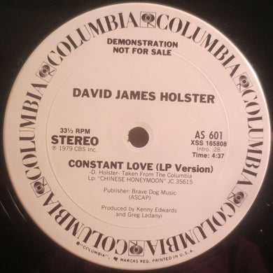 David James Holster : Constant Love  (12