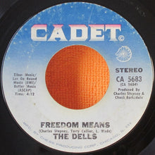 Load image into Gallery viewer, The Dells : The Love We Had (Stays On My Mind) / Freedom Means (7&quot;)