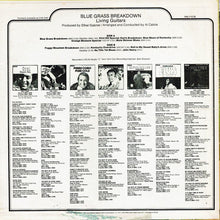 Load image into Gallery viewer, Living Guitars : Blue Grass Breakdown (LP)
