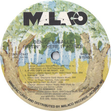 Load image into Gallery viewer, Denise LaSalle : Hittin Where It Hurts (LP, Album)