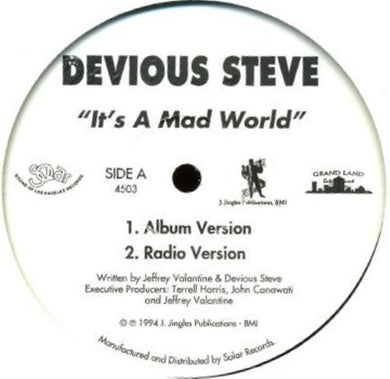 Devious Steve : It's A Mad World (12