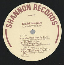 Load image into Gallery viewer, David Pengelly : Everyday Dream (LP)
