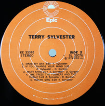 Load image into Gallery viewer, Terry Sylvester : Terry Sylvester (LP, Album)