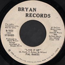 Load image into Gallery viewer, Pal Rakes : Live It Up (7", Mono, Promo)