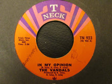 Load image into Gallery viewer, The Vandals (3) : In My Opinion (7&quot;, Single)