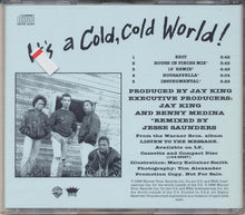 Load image into Gallery viewer, Club Nouveau : It's A Cold, Cold World! (CD, Single, Promo)