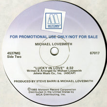 Load image into Gallery viewer, Michael Lovesmith : Break The Ice (12&quot;, Promo)