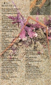 Sandi Patty : Another Time ... Another Place (Cass, Album, Chr)