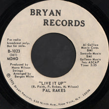 Load image into Gallery viewer, Pal Rakes : Live It Up (7", Mono, Promo)