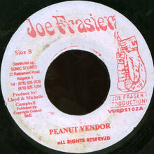 Load image into Gallery viewer, Glen Washington : Roller Costa Ride (7")