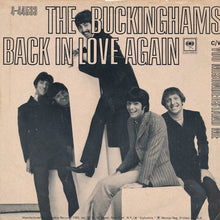Load image into Gallery viewer, The Buckinghams : Back In Love Again (7", Single)