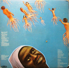 Load image into Gallery viewer, Earthquire : Earthquire (LP, Album, Gat)