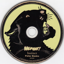 Load image into Gallery viewer, Peter Banks : Instinct (CD, Album)