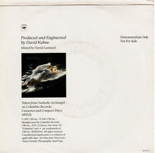 Load image into Gallery viewer, Nathalie Archangel : Mr. Perfect For Me (7", Single, Promo)