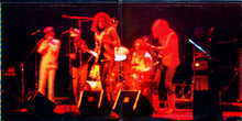Load image into Gallery viewer, Hot Tuna : First Pull Up, Then Pull Down (LP, Album, Ind)