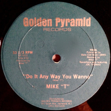 Mike T : Do It Any Way You Wanna (12