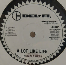Load image into Gallery viewer, Rumble Bees : A Lot Like Life (12&quot;)