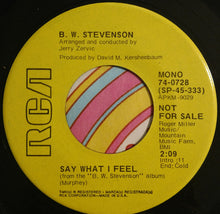 Load image into Gallery viewer, B.W. Stevenson : Say What I Feel (7", Mono, Promo)