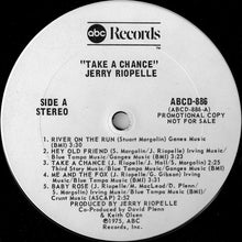 Load image into Gallery viewer, Jerry Riopelle : Take A Chance (LP, Album, Promo, W/Lbl)