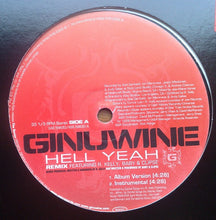 Load image into Gallery viewer, Ginuwine : Hell Yeah (Remix) (12&quot;, Promo)