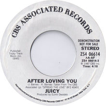 Load image into Gallery viewer, Juicy : After Loving You (7&quot;, Promo, Styrene)