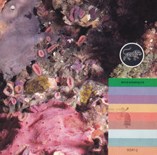Load image into Gallery viewer, Eyuphuro : Mama Mosambiki (CD, Album)