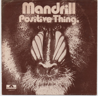 Mandrill : Positive Thing (7